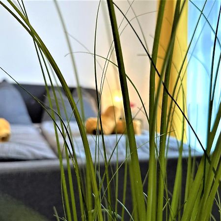 Gemuetliches Studio Im Bayerwald +Pool +Sauna +Wifi Цвизель Экстерьер фото