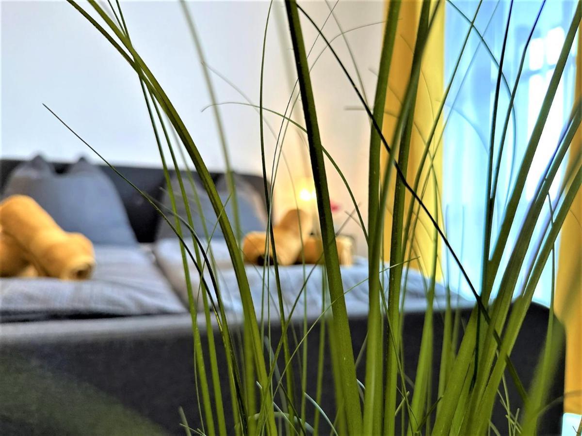 Gemuetliches Studio Im Bayerwald +Pool +Sauna +Wifi Цвизель Экстерьер фото