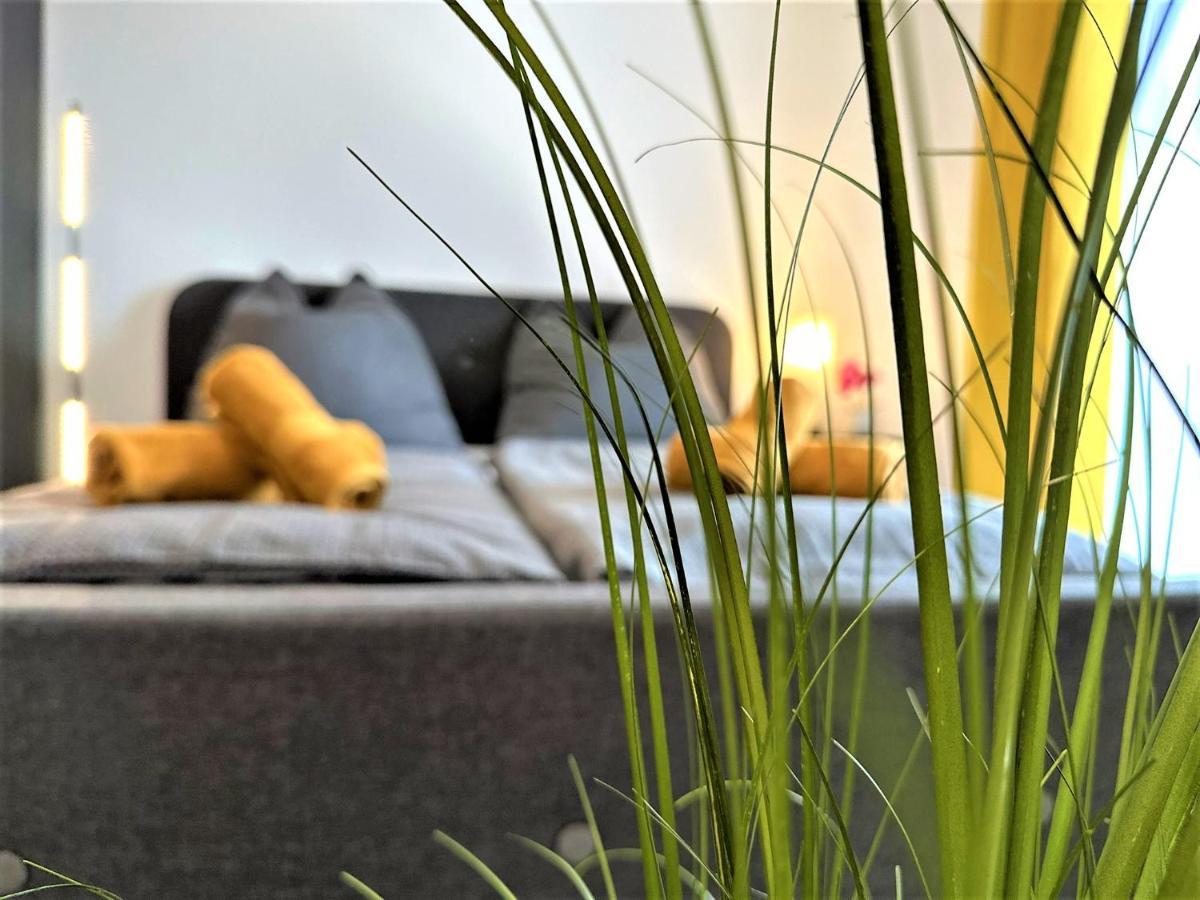 Gemuetliches Studio Im Bayerwald +Pool +Sauna +Wifi Цвизель Экстерьер фото